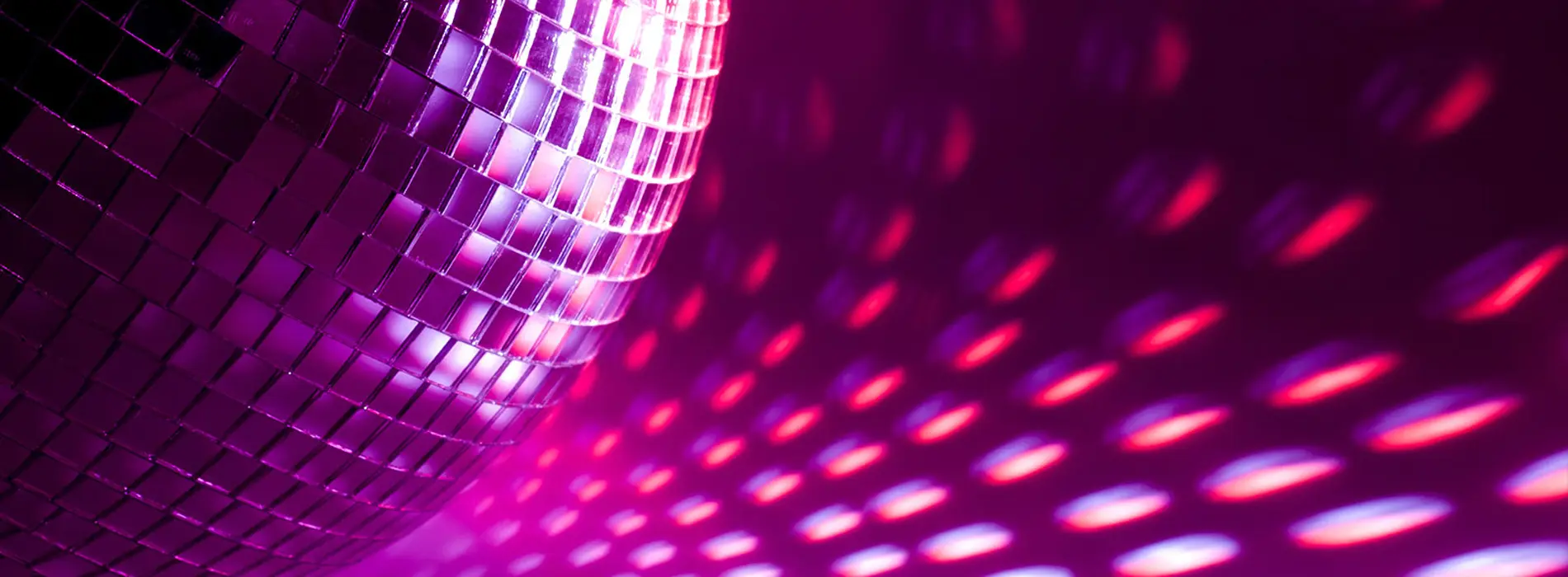 discofox discofox